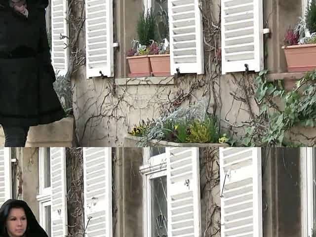 The House Friend