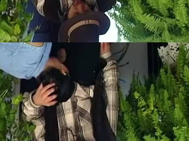 Wild Cowboy Doesn't Ask For Permission Vintage Porn