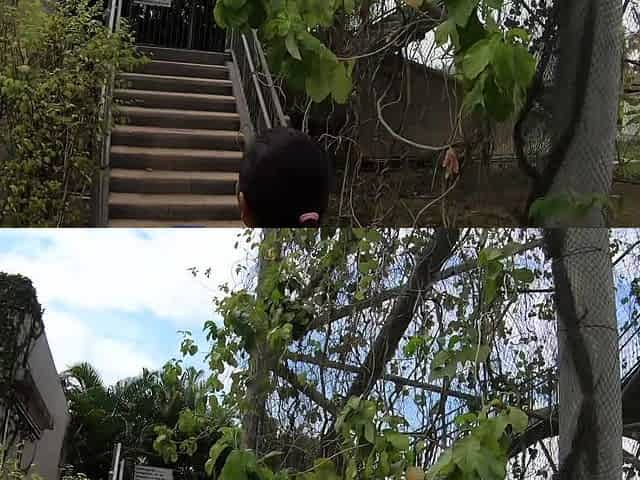 Cute Asian GF big ass anal fucking