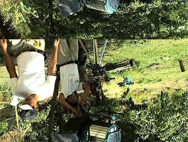 Big Tit MILF Persia Loves To Fuck Cocks Outdoor