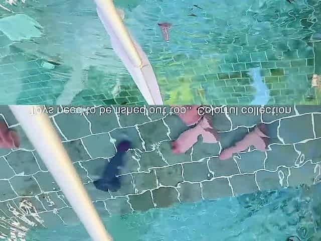 I swim in a pool full of schlongs