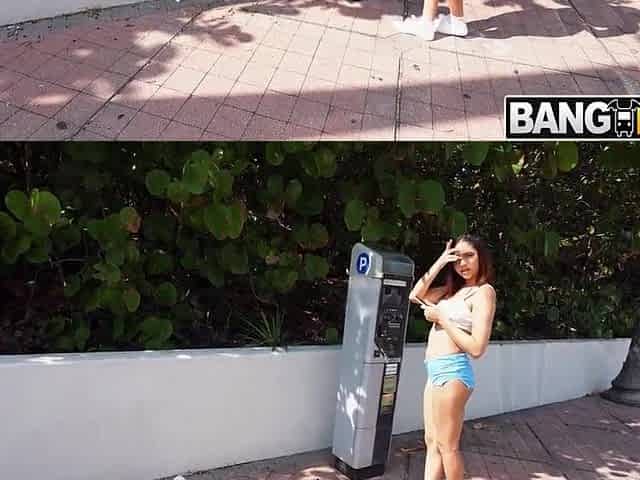 White Miami Knob