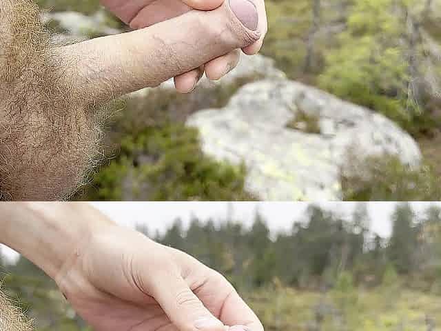 Cum in Forest