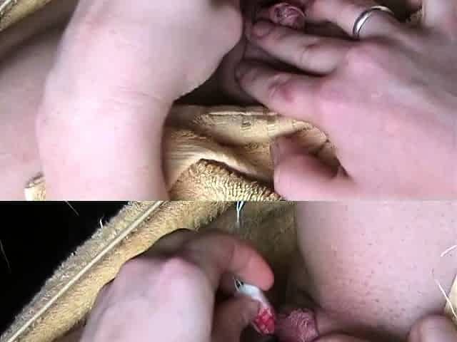 Sexy Amateur Webcam Free Babe Porn Video