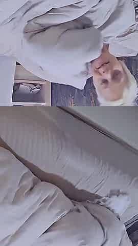 My Stepson Comes to Fuck My Pussy in Bed and Ejaculates on My Face.