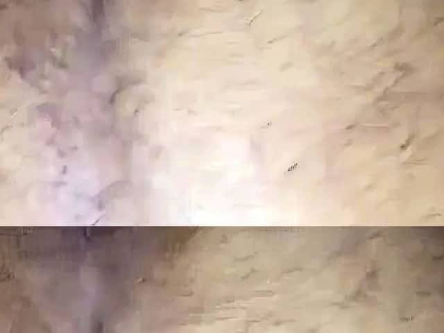 Indian Gay Sardar getting Bareback Fucked - Part 2