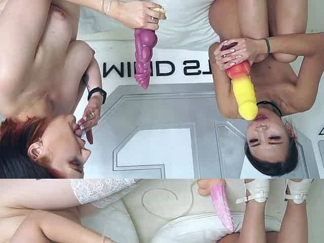Amateur lesbian toyed