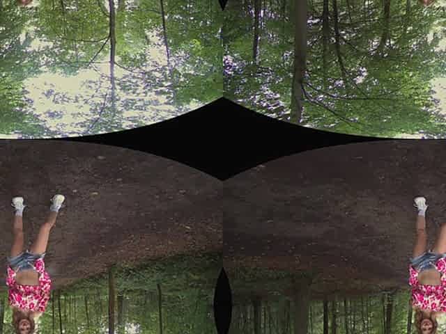 Nata Li Forest Flashing