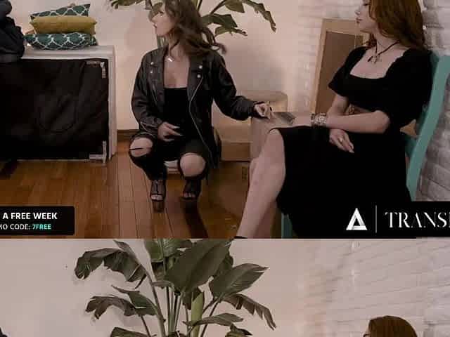 TRANSFIXED - Cis Lesbo Swingers Have A Foursome With Their Fresh Neighbors Jade Venus & Ariel Demure