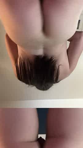 Shake Sexy Ass