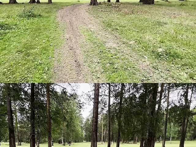 Hot Stranger Lost In The Woods, I'm Fucking Her Pussy While