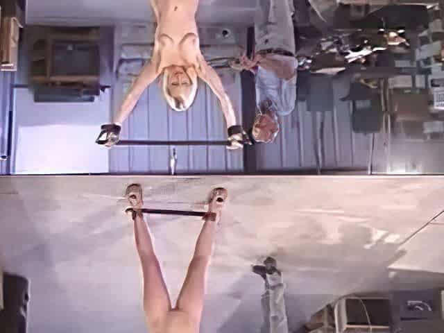 two whippings