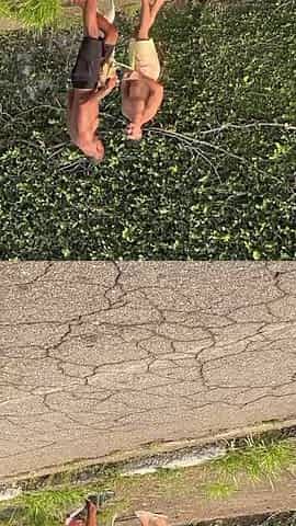 Str8 chap wanted to screw in the street