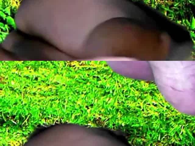 Outdoor Foreplay Indoor Afterplay with Garabas and Olprand Lupo
