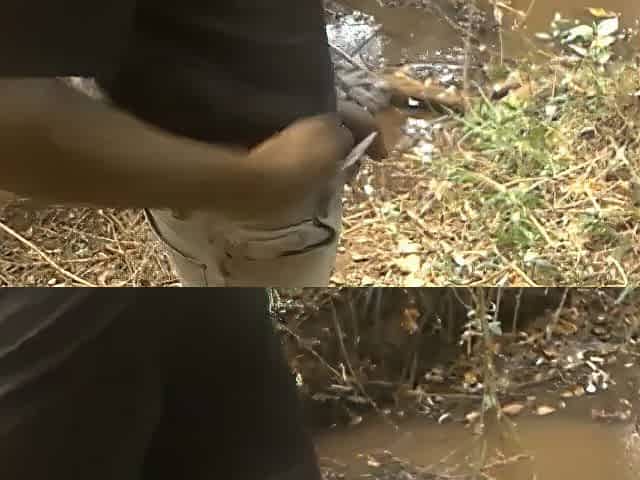 FREAKY AFRO MALE MASTURBATING IN THE WOODS