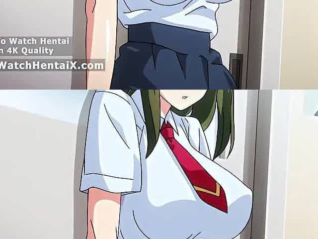 Manga Comics, animation porn