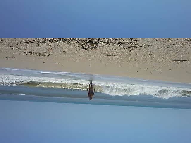 Shiny royal blue belt on the beach