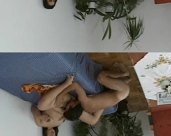 German Amateur Teen Hairy Pussy Brunette Fucked #3