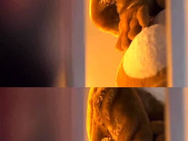 Japanese teen fingered in the clinic