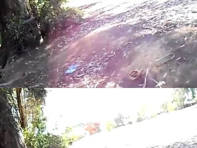 Amateur Asian Girl Gives Public Blowjob in Park