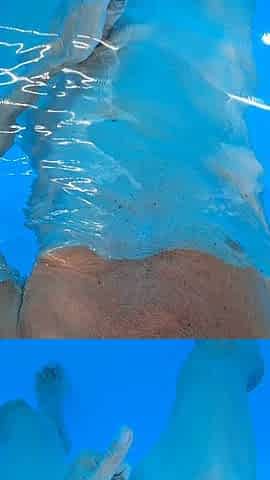 geil pool