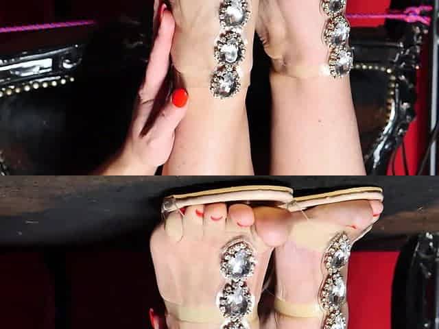 Paige Wants You on Your Knees to Worship Her Feet
