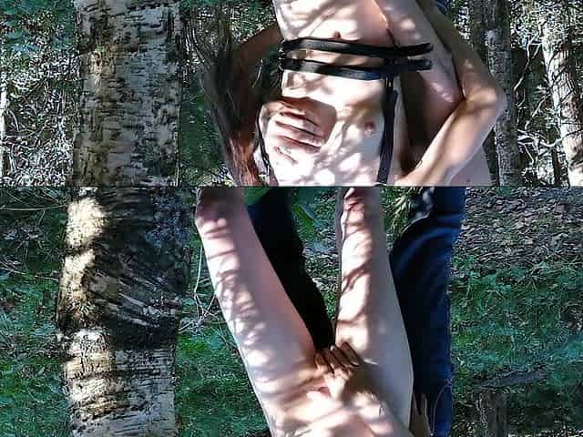 The Forest nymph