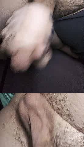 Wanking my curly uncut gal dick!