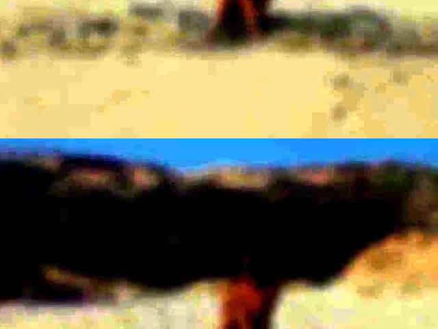 Sexy Couple's Public Beach Adventure