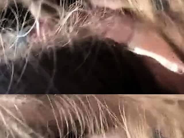 Cute College Girl Gives a Blowjob and Swallows