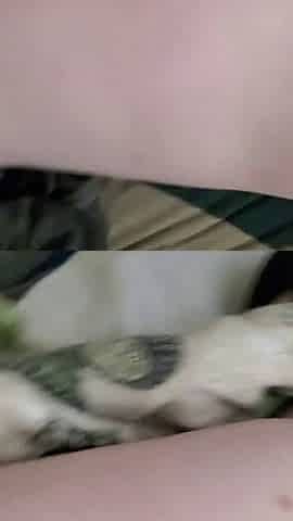 Wife niki is aching for a black thug cock to force her pussy