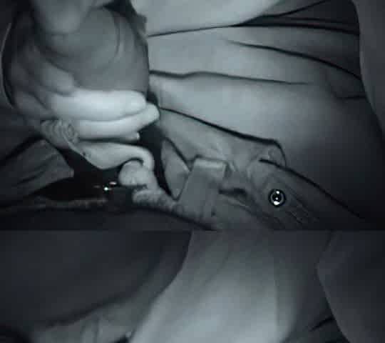 Lil Mary Night Vision Head and Tail