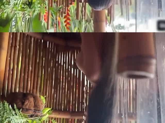 He Spies On Me In The Shower! And Caught Me Masturbating