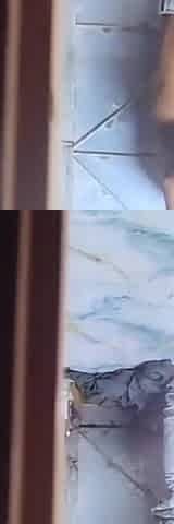 My Girlfriend Is Fucking with Someone Else