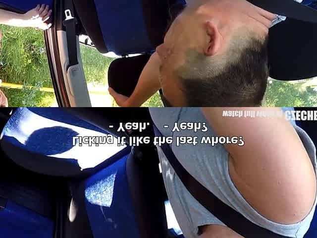 Mirek Takes Mature Busty Whore On Public