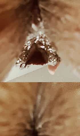 EXTRAORDINARY POV: Clean me up after I cum