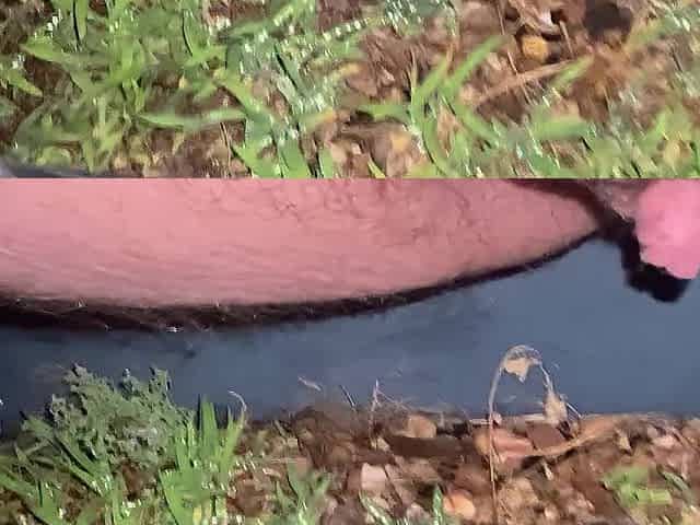 I love pissing