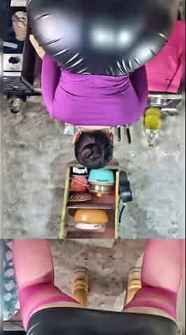 Big Ass with Leather Skirt