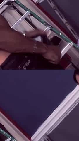 Small Asian Plowed with Black Cock