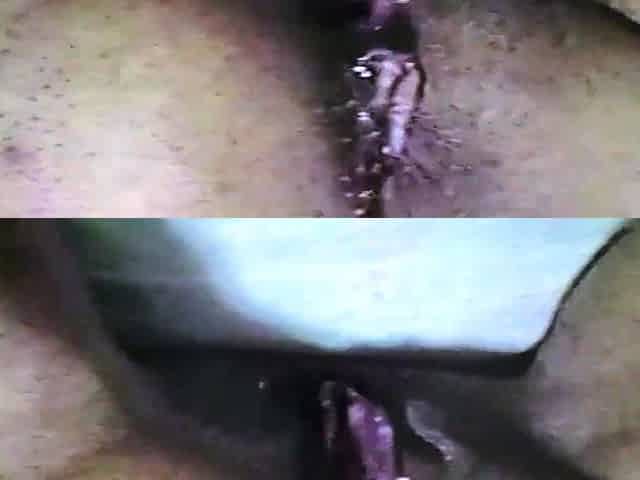 Big ass fetish ho toys her aching big ass hard