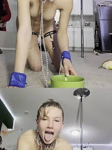Solo Pet Play Custom