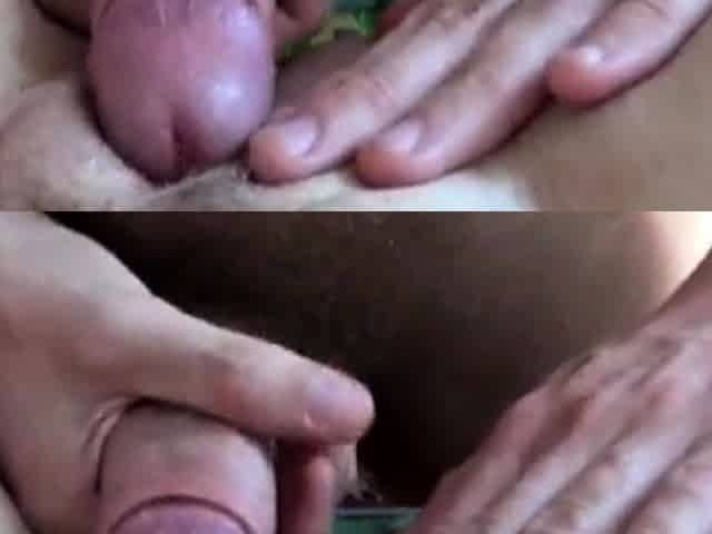 MSD Sex