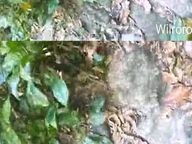 I Found This Girl Lost In Hawai And She Offered Me Sex In Exchange For Me Taking Her To Town. 8 Min - Karol Wendy