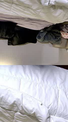See Me Take Her Doggystyle Bent Over the Bed