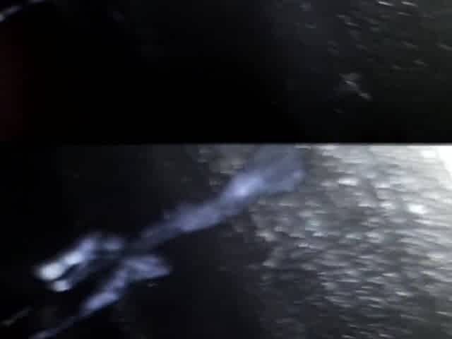 Shiny Cum