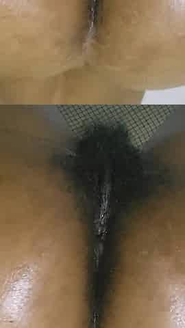 Booty Bully Curves Bounce and Tease, Playful Showcase of Passion and Energy