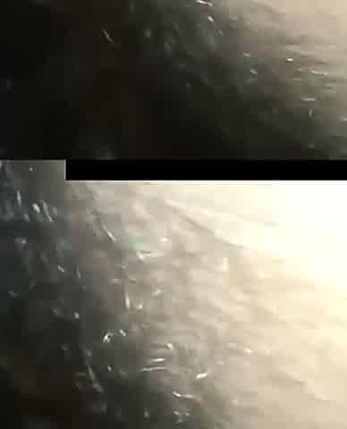 Pov amateur blowjob action