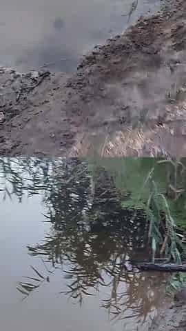 Outdoor Oral Sex with Pee