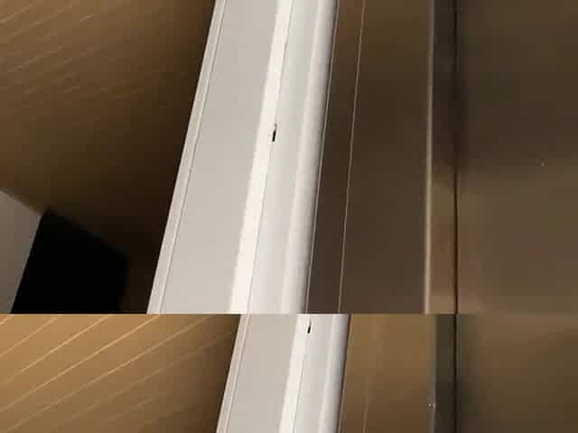 Public sex in the elevator after the party with my ally. We get caught!