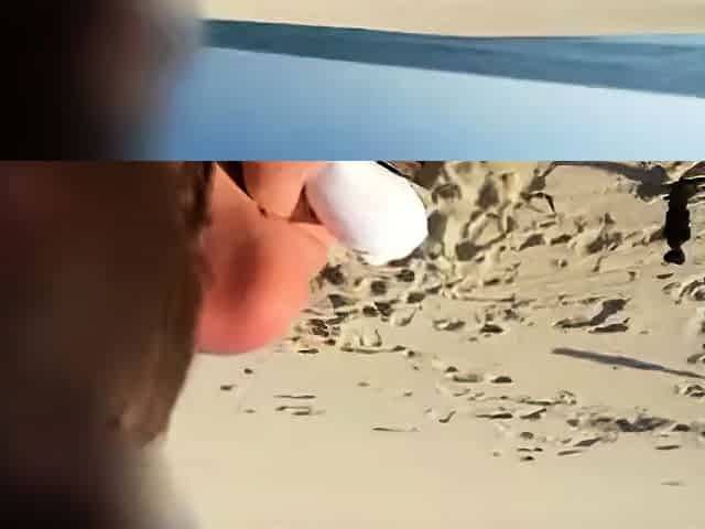Hotwife Vacation